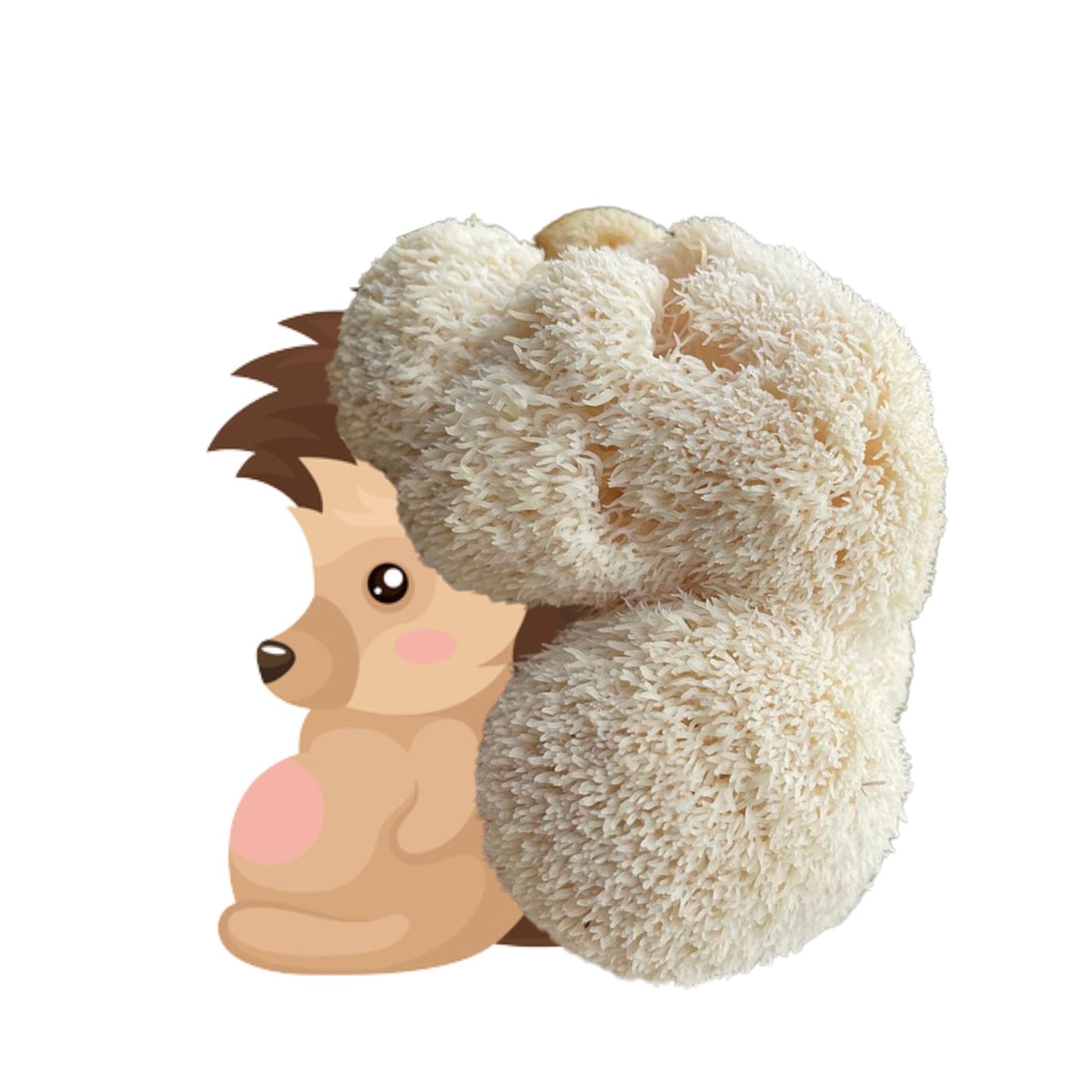 The Bearded Hedgehog is an at home lion's mane mushroom grow kit from Fungi Friends. You can grow out his hair and cook it after!