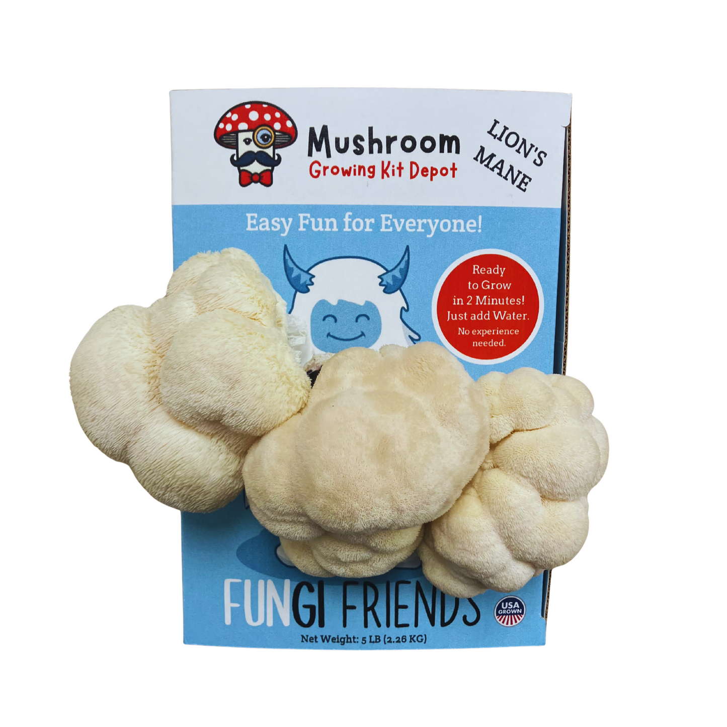 Lion's Mane Mushroom growing kit with packaging labeled 'Fungi Friends' on a white background. Betty the Yeti