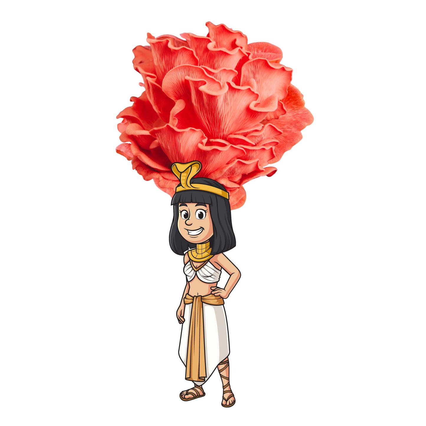 Cleopashrooma is a pink oyster mushroom grow kit from the Fungi Pharaoh series of Fungi Friends.