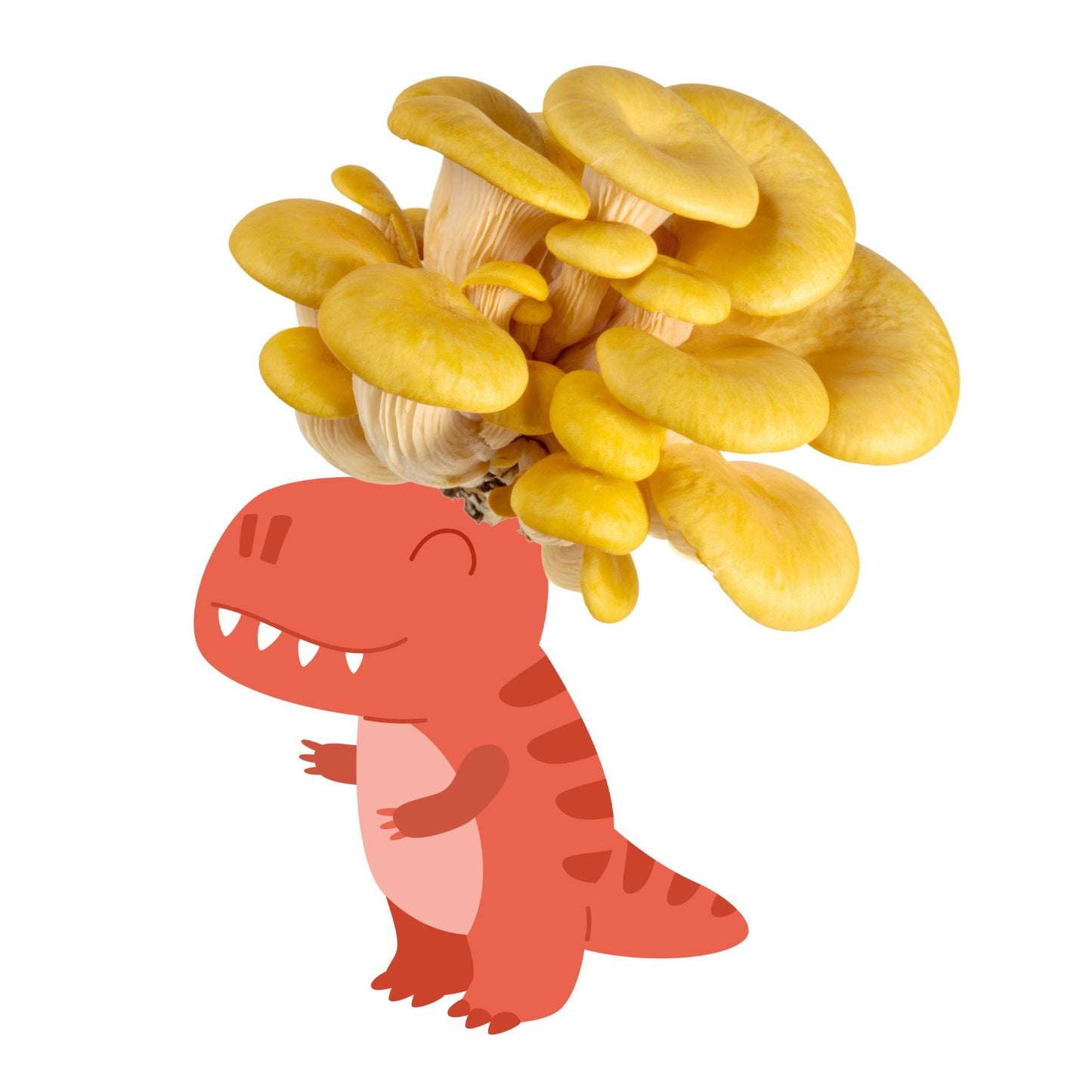 Fungisaurus Rex is a yellow oyster mushroom grow kit from the Fungi Pharaoh series of Fungi Friends. You can grow his hair out!
