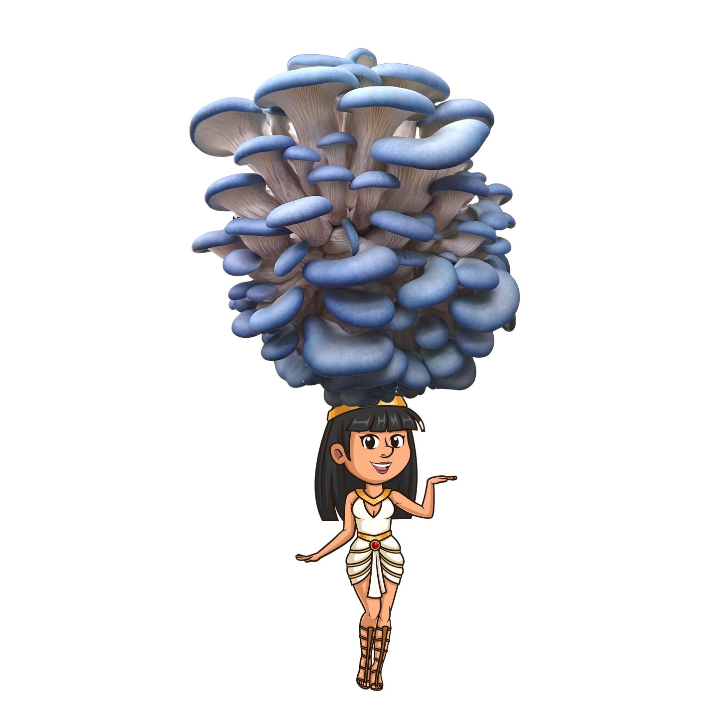 Fungititi is a blue oyster mushroom grow kit from the Fungi Pharaoh series of Fungi Friends. You can grow her crown out!