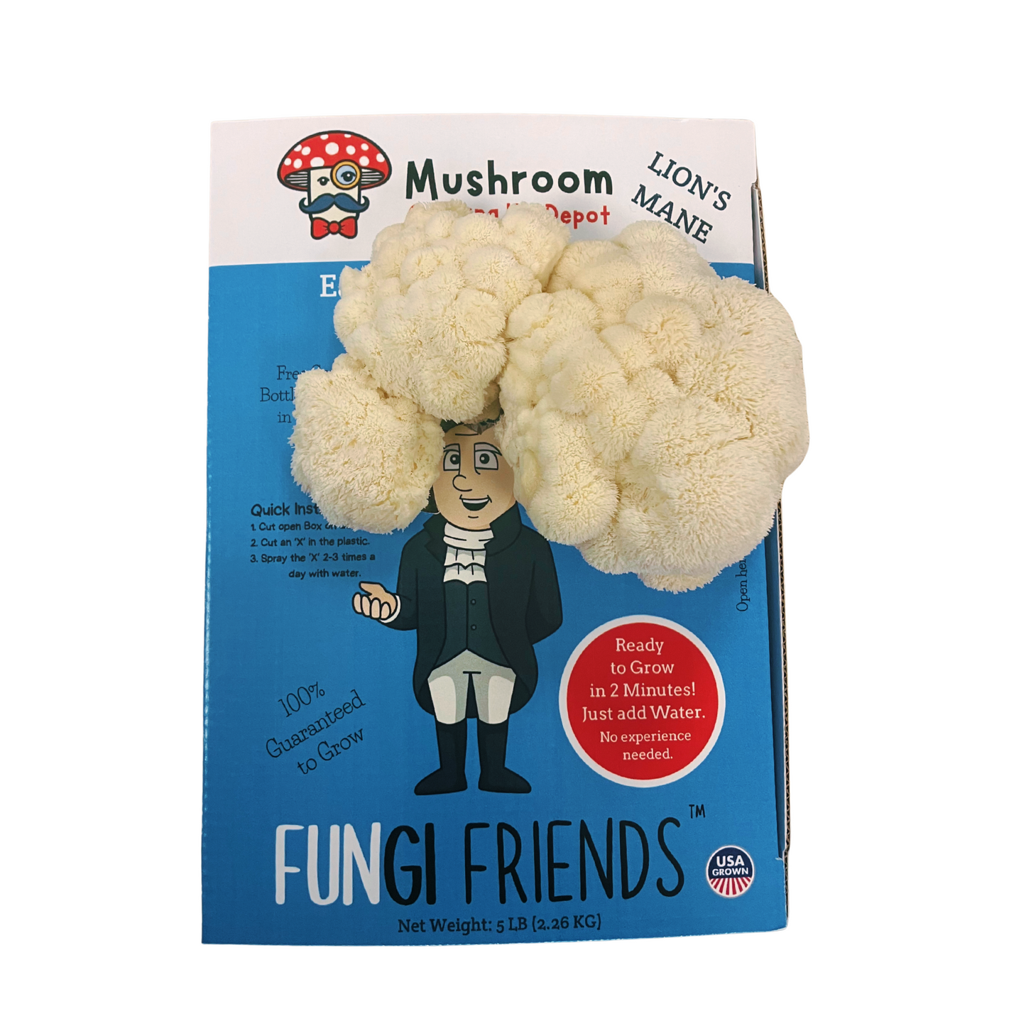 Lion's Mane Mushroom growing kit with packaging labeled 'Fungi Friends' on a white background. George Mushington hair grown out.