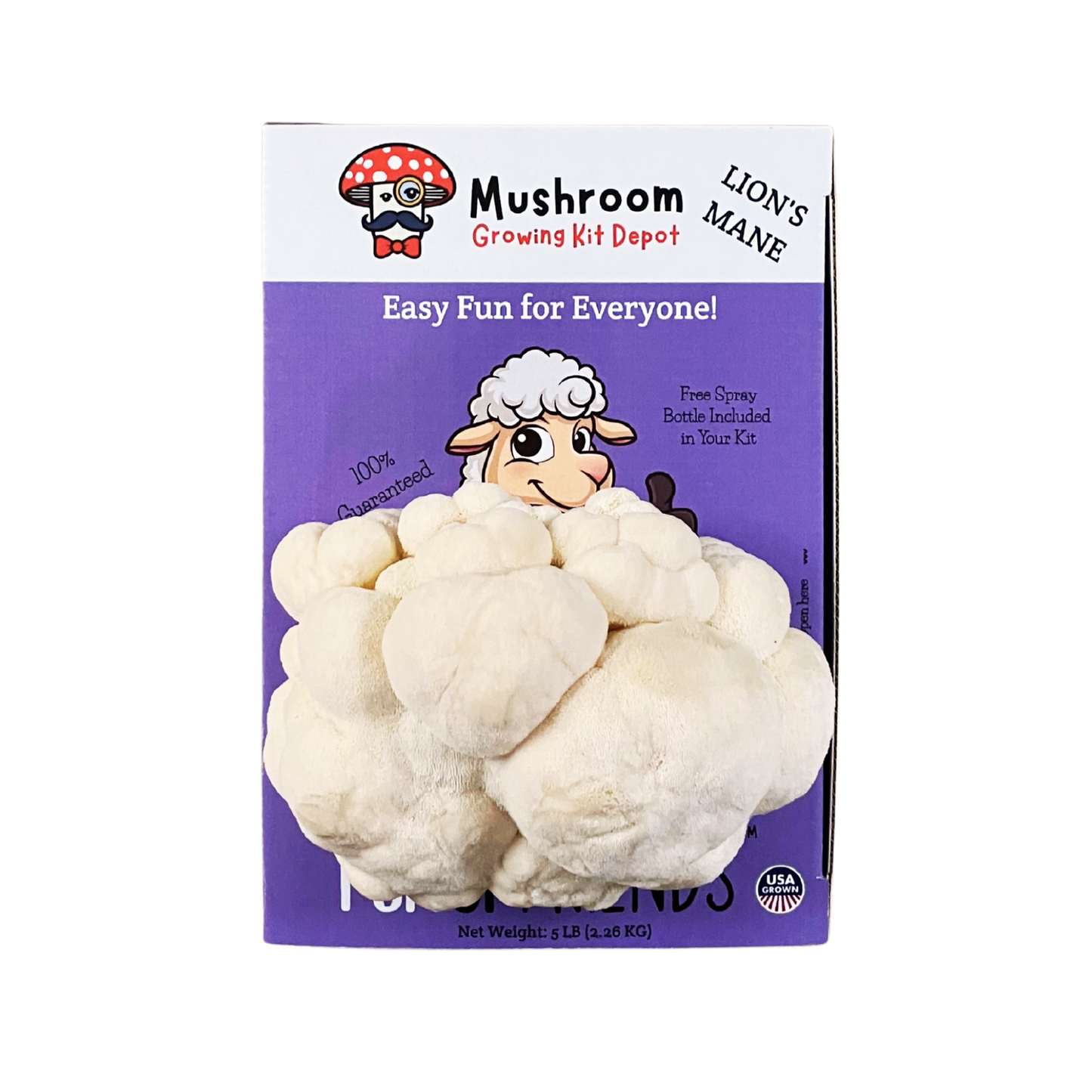 Lil Musheep - Lion's Mane Mushroom Grow Kit - 5 LBS (with box) + Humidity Tent