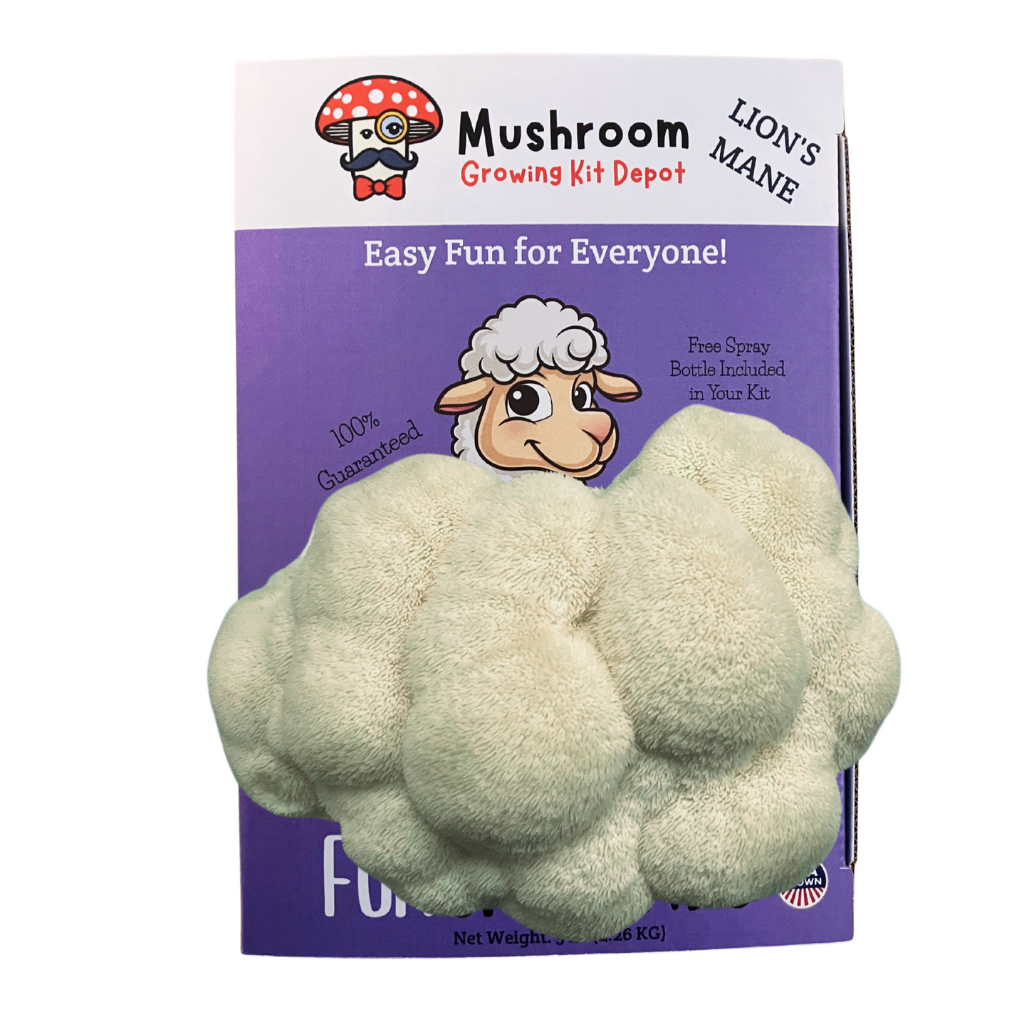 At home Mushroom growing kit packaging with a cartoon sheep on a purple background. Lion's mane mushrooms are growing out of Lil Musheep
