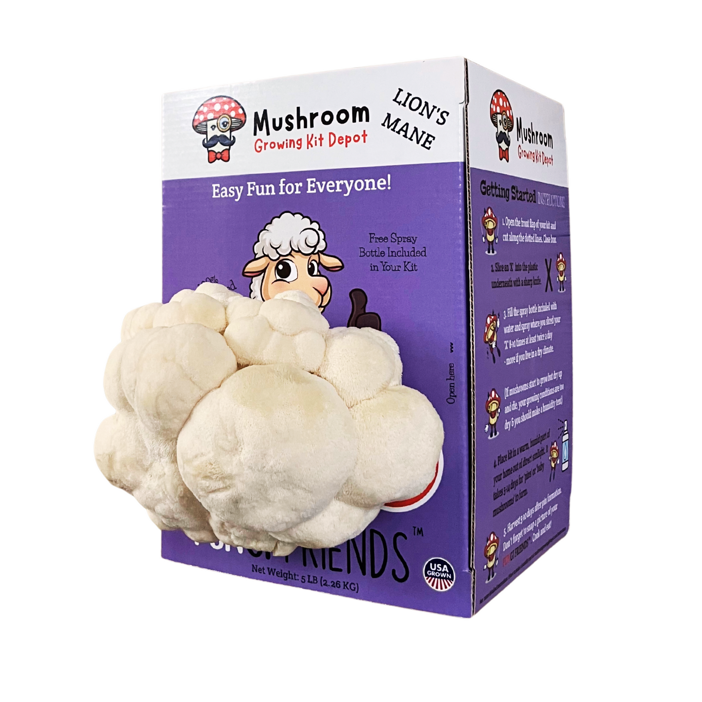 Lil Musheep - Lion's Mane Mushroom Grow Kit - 5 LBS (with box) + Humidity Tent