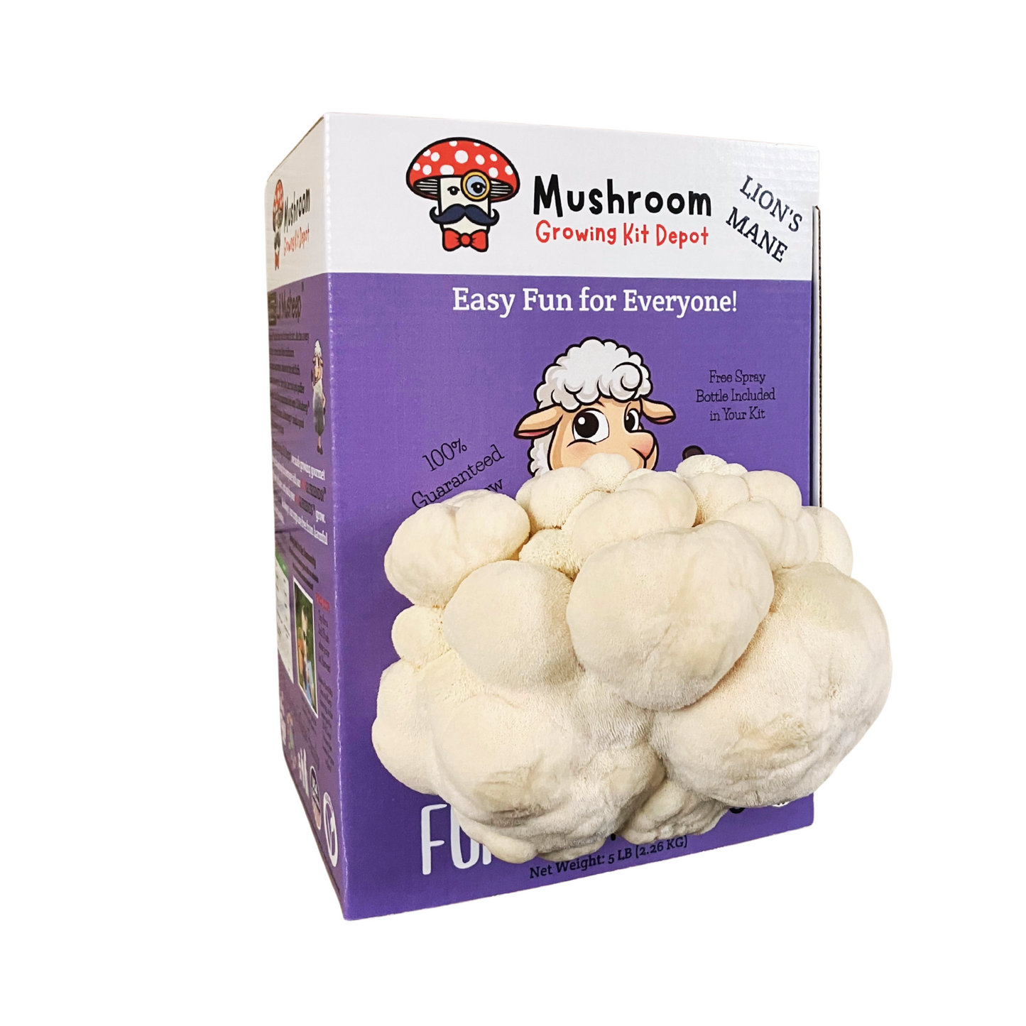Lil Musheep - Lion's Mane Mushroom Grow Kit - 5 LBS (with box) + Humidity Tent