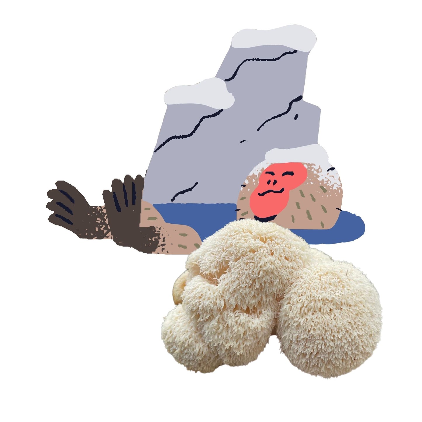 Lion's Mane Lincoln is an at home lion's mane mushroom grow kit from Fungi Friends. You can grow out his hair and cook it after!