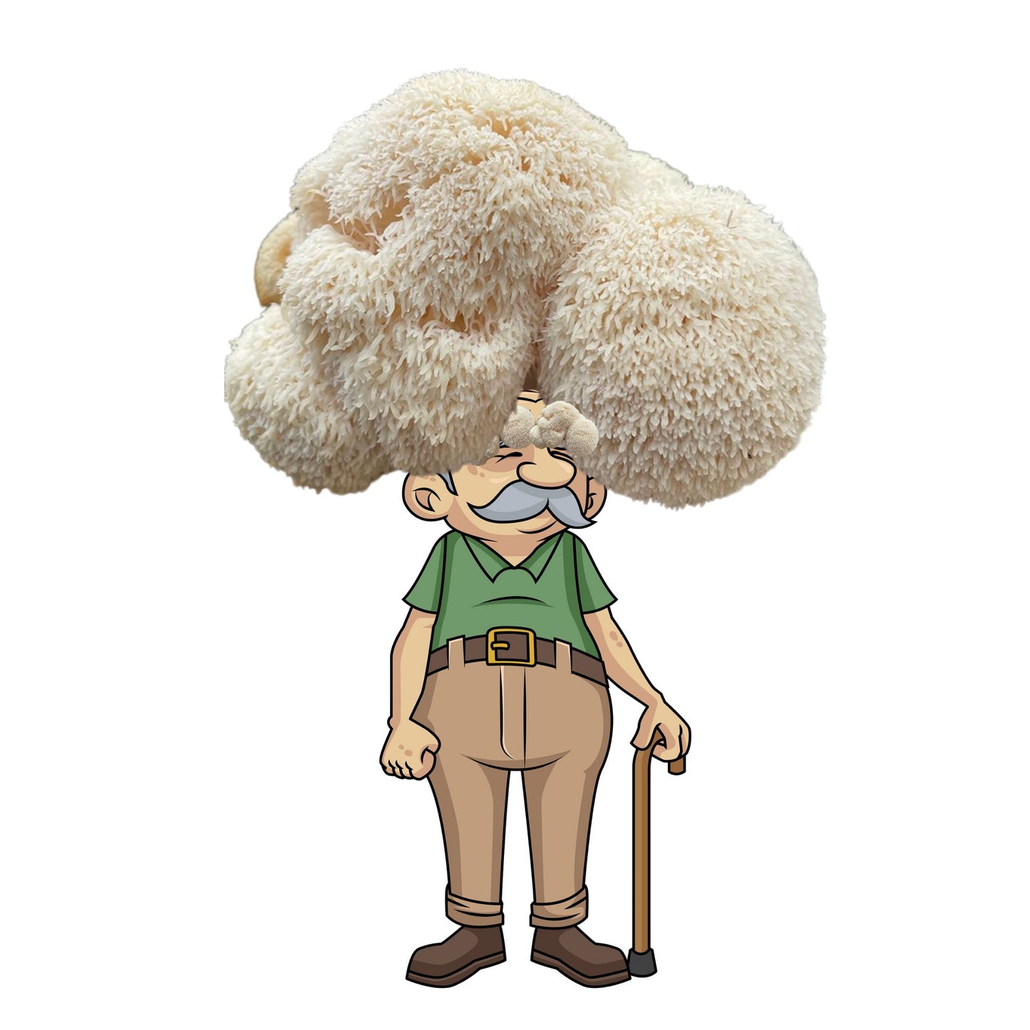 Mr. Mushingham - Lion's Mane Mushroom Grow Kit - 6.5 LBS