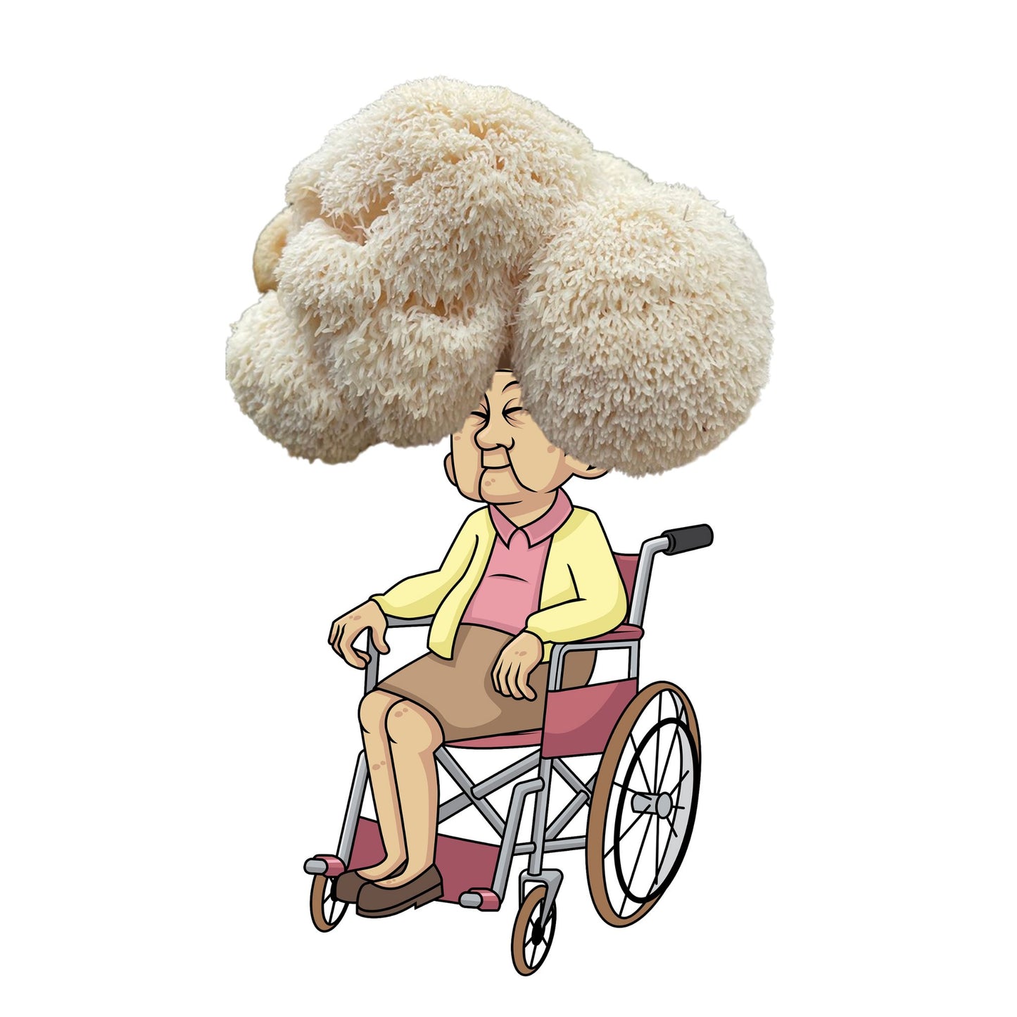 Nana Mush is an at home lion's mane mushroom grow kit from Fungi Friends. You can grow out her hair!