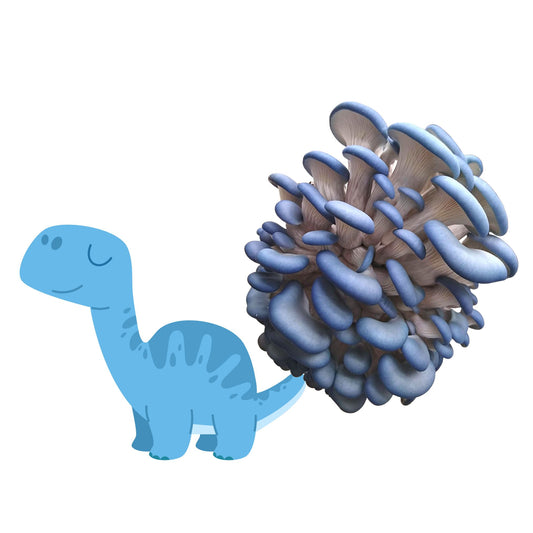 Brachiofungus is Blue dinosaur with a cluster of blue oyster mushrooms mushrooms growing out of its tail. 