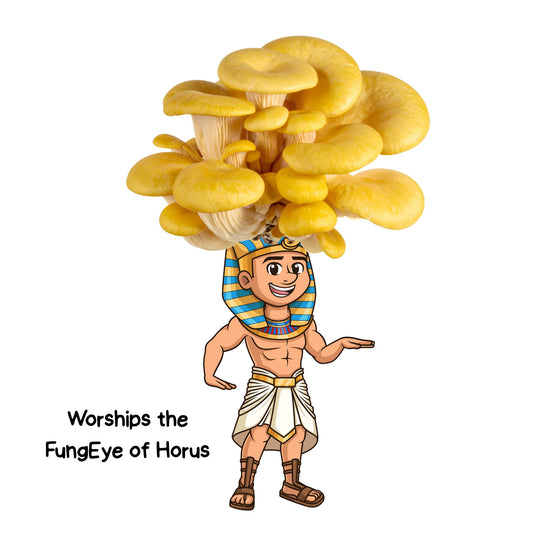 Fungi Pharaoh is a yellow oyster mushroom grow kit from the Fungi Pharaoh series of Fungi Friends. You can grow his crown out!