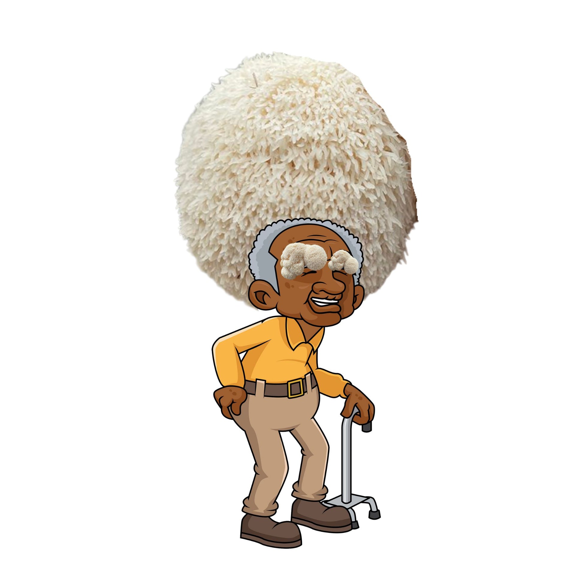 Grandfather Fungi is an at home lion's mane mushroom grow kit from Fungi Friends. You can grow out his hair!