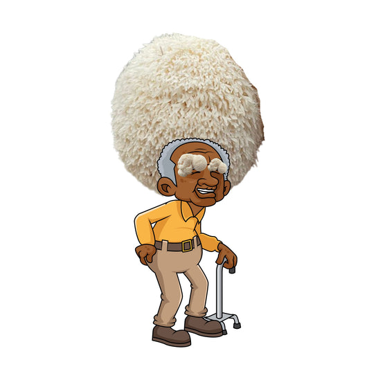 Grandfather Fungi is an at home lion's mane mushroom grow kit from Fungi Friends. You can grow out his hair!