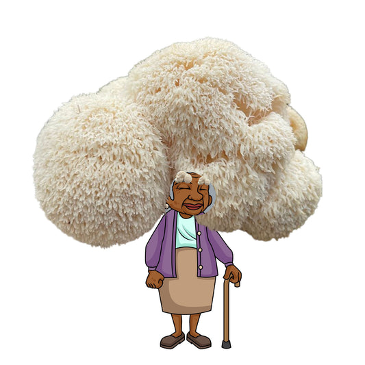 Madam Musherson is an at home lion's mane mushroom grow kit from Fungi Friends. You can grow out her hair!