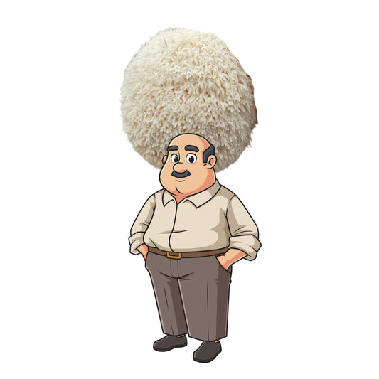 Musharoni Toni is an at home lion's mane mushroom grow kit from Fungi Friends. You can grow out his hair and cook it after!