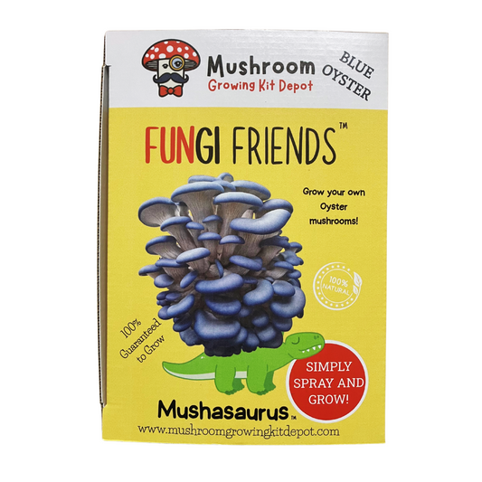 Blue Oyster Mushroom growing kit packaging with Mushasaurus cartoon from Fungi Friends. Grow your own mushrooms at home. Mushasaurus is a cartoon dinosaur with blue oyster mushrooms growing out of its back.