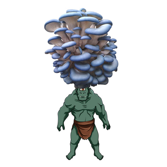 Mushrogre is a blue oyster mushroom grow kit from Fungi Friends. You can grow out his hair and eat it after!