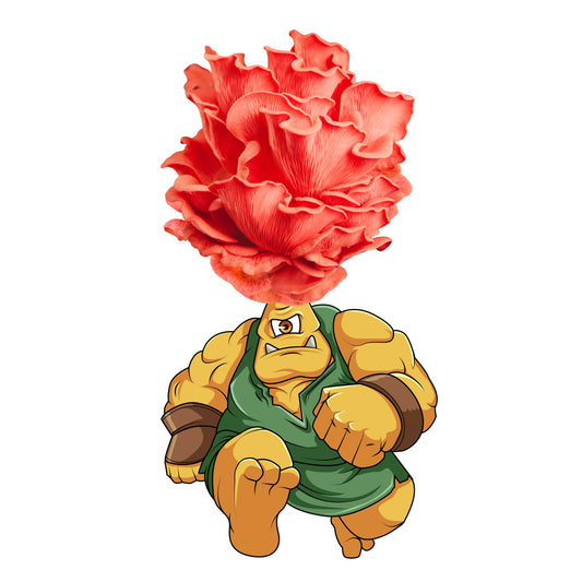 Myclops is a pink oyster mushroom grow kit from Fungi Friends. You can grow out his hair and eat it after!