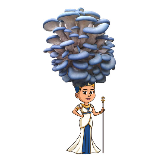 Queen Nefunitari is a blue oyster mushroom grow kit from the Fungi Pharaoh series of Fungi Friends. You can grow her crown out!