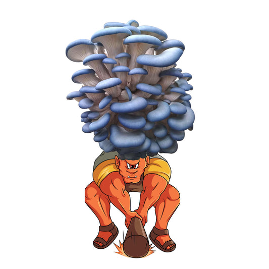 Smushrooom is a blue oyster mushroom grow kit from Fungi Friends. You can grow out his hair and eat it after!